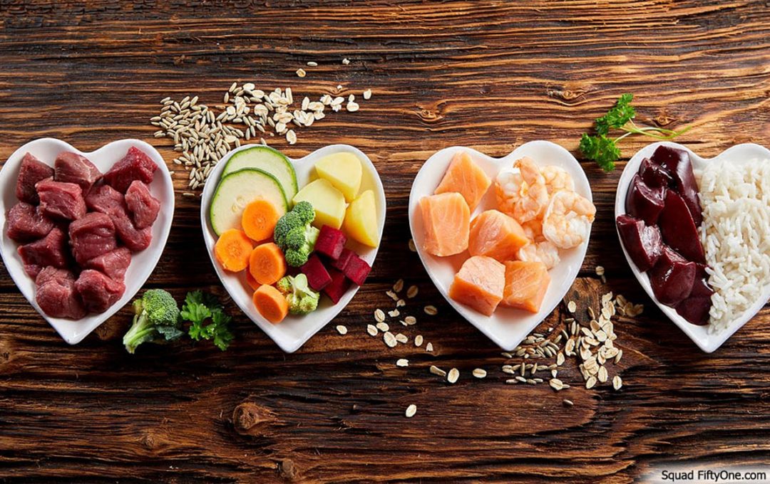 Basics of Healthy Human Food NtNt